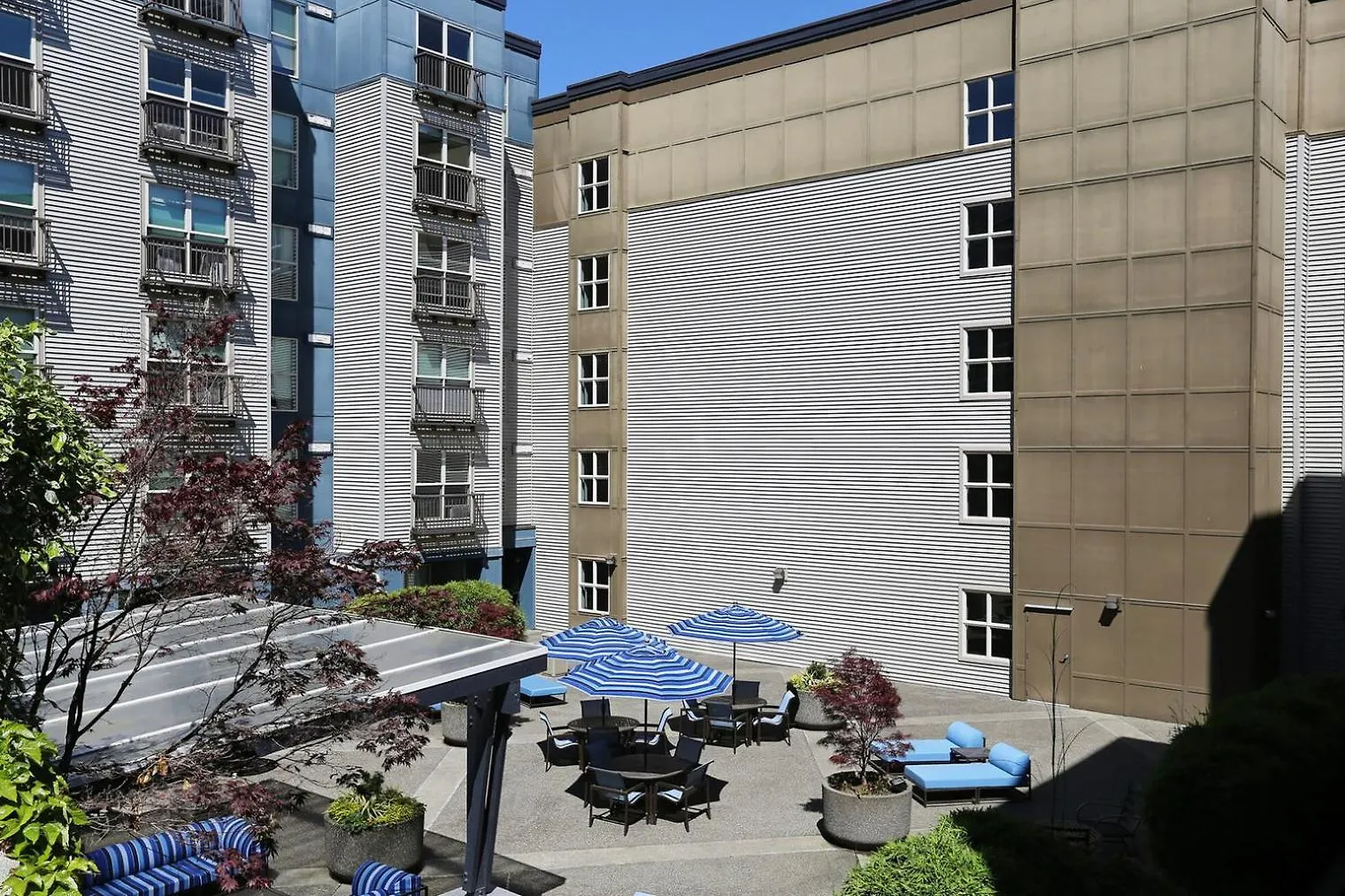 First Hill 1Br W Gym Bbq Club Rooftop Sea-697 Seattle 0*,